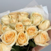 15 персиковых роз