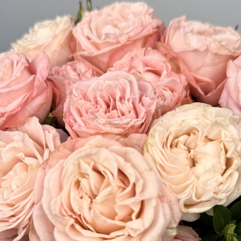 Нежный день