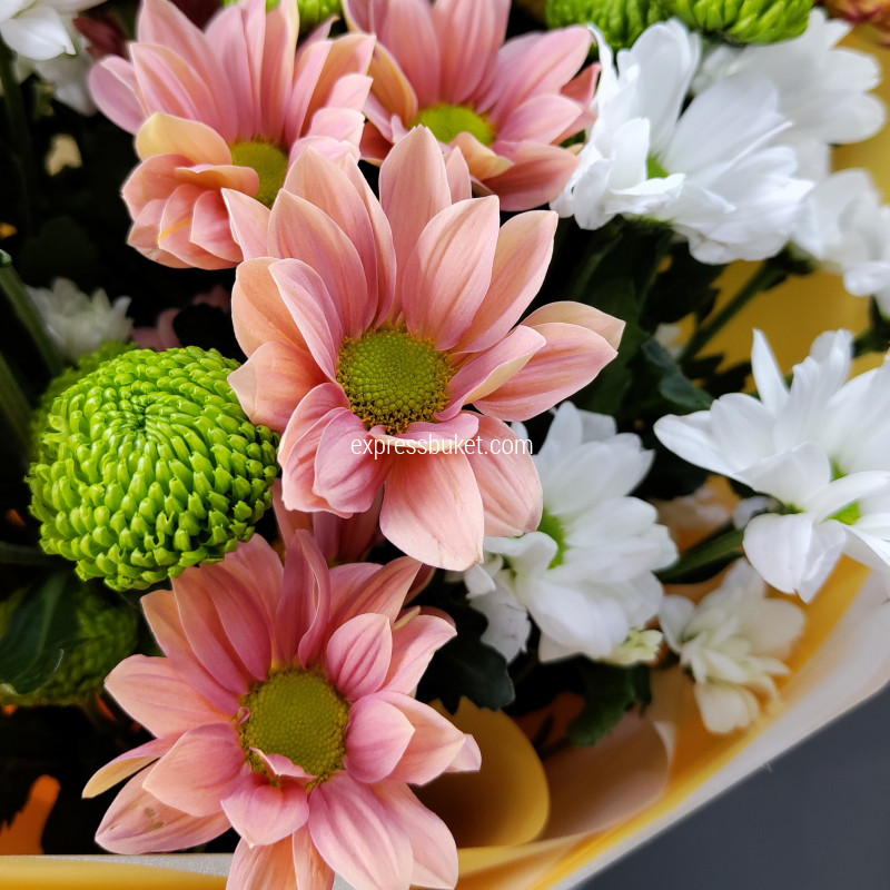 Букет из 11 разноцветных кутовых хризантем